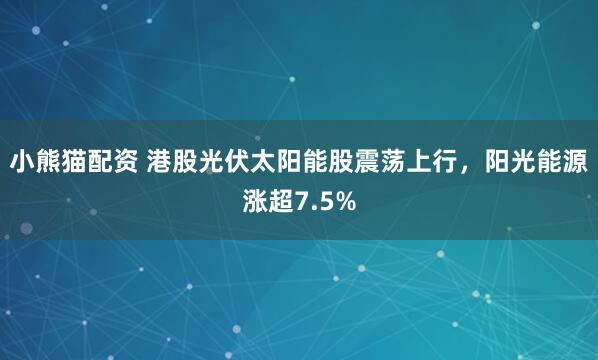 小熊猫配资 港股光伏太阳能股震荡上行，阳光能源涨超7.5%