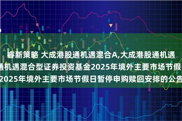 睿新策略 大成港股通机遇混合A,大成港股通机遇混合C: 关于大成港股通机遇混合型证券投资基金2025年境外主要市场节假日暂停申购赎回安排的公告