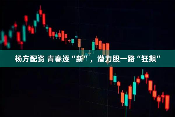 杨方配资 青春逐“新”，潜力股一路“狂飙”