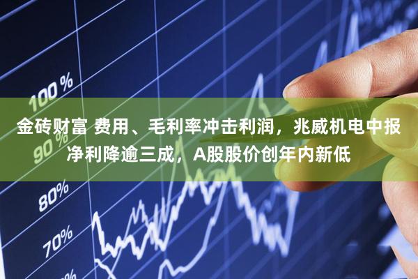 金砖财富 费用、毛利率冲击利润，兆威机电中报净利降逾三成，A股股价创年内新低